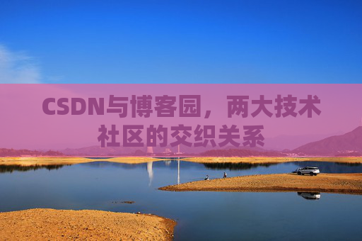 CSDN与博客园，两大技术社区的交织关系